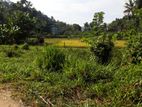 Land for Sale in Kandy Peradeniya