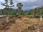 Land for Sale in Kandy Pilimatalawa