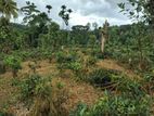 Land for sale in Kandy Pilimatalawa