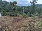 Land for Sale in Kandy Pilimatalawa