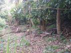 Land for Sale in Kandy Polgolla