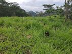 Land for Sale in Kandy Pussellawa