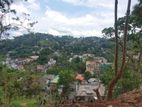 Land for Sale in Kandy Rajaphilla Mawatha,