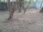 Land for sale in kandy / SA 10937
