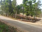 Land for Sale in Kandy-Sinharagama