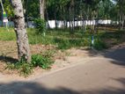 Land for Sale in Kandy Sinharagama