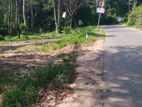 Land for sale in Kandy Sinharagama