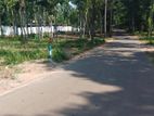 Land for Sale in Kandy Sinharagama