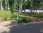 Land for Sale in Kandy Sinharagama