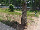 Land for Sale in Kandy Sinharagama