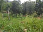 Land for Sale in Kandy Sinharagama