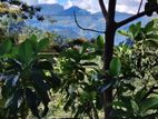 Land for Sale in Kandy Thannakumbura