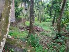 Land for Sale in Kandy Thannakumbura