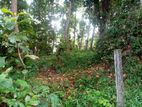 Land for Sale in Kandy Theldeniya