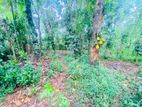 Land for sale in Kandy (TPS2188)