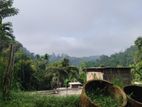 Land for Sale in Kandy Walala