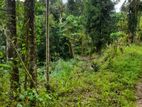 Land For Sale In Kandy Wattegama