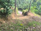 Land for Sale in Kandy,katugastota