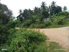 Land for Sale in kanthale වාන්ඇල