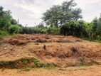 Land for sale in Karandeniya