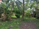 Land for Sale in Karapitiya Browns Road