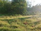 Land for Sale in Karapitiya