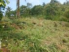 Land For Sale In Karawita, Rathnapura