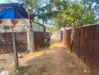 Land for Sale in Karbala