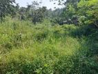 Land for Sale in Kataliyanpalla, Ratnapura