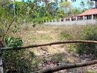 Land for Sale in Katana