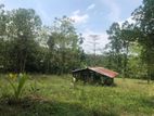 Land for Sale in Katana