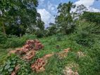 Land for Sale in Katana