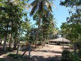 Land for Sale in Katana