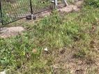 Land for sale in Katana Negombo