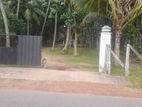 Land for sale in Katana - REF 60