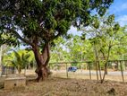 Land for Sale in Kataragama