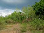 Land for Sale in Kataragama