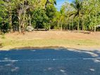 Land for Sale in Kataragama