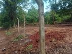 Land for Sale in Katharagama - CL832