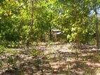 Land For Sale In Katharagama