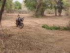 Land For Sale in Katharagama | Sithulpawwa