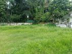 Land for Sale in Katugasthota