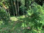 Land for sale In Katugasthota
