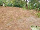 Land for Sale in Katugasthota