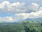 Land For Sale in Katugasthota (walking distance to town)