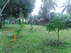 Land for Sale in Katunayaka CL - 655