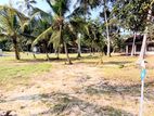Land for Sale in Katunayaka