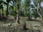 Land For Sale in Katunayaka