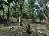 Land for Sale in Katunayaka