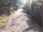 Land for Sale in Katunayake - Adiambalama